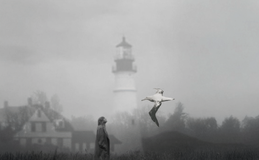 Alas de exilio: Meditaciones sobre “The Albatross” de Taylor Swift